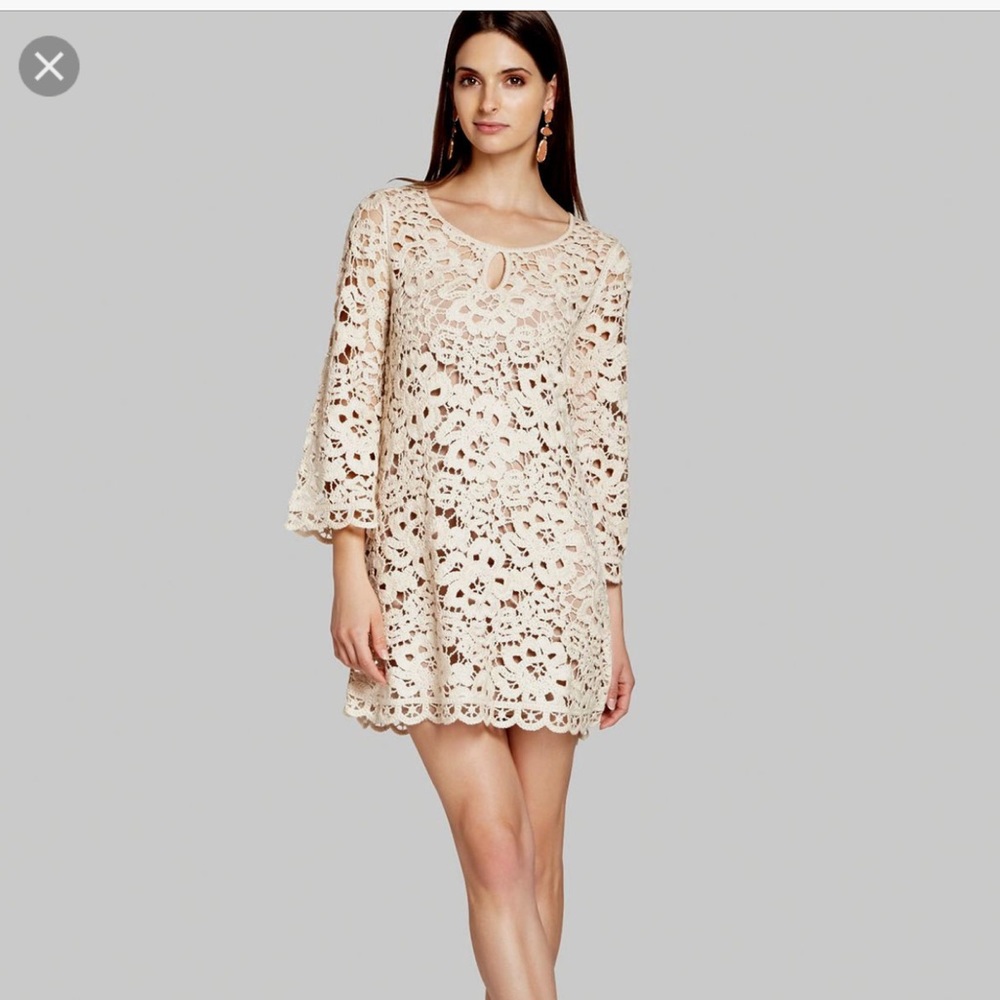 Bcbgmaxazria Tianya crochet dress